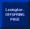 photos and information about foals by Lexington