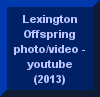 Lexington Offspring