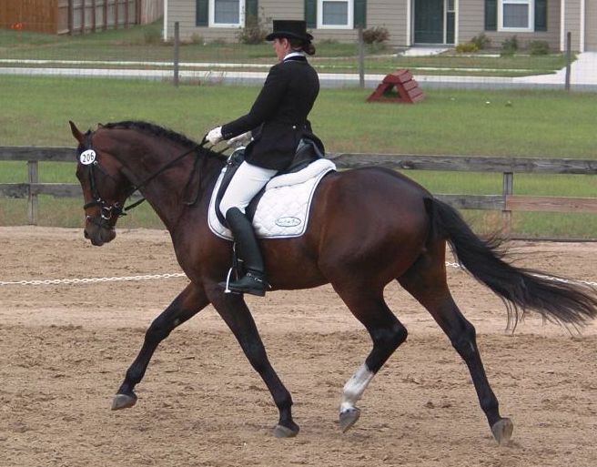 G Wakjabout, ridden by Gigha